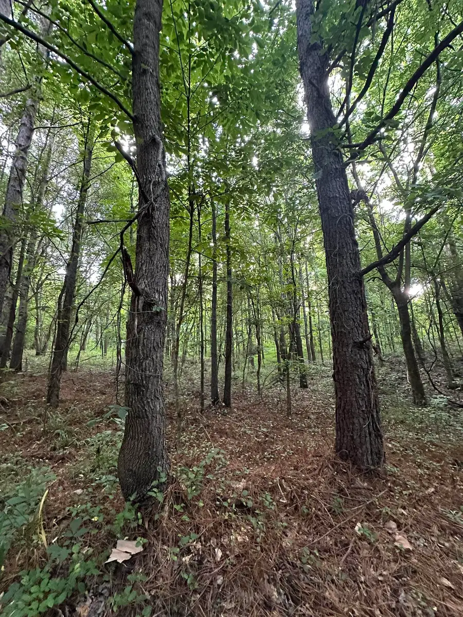 01 MOORE RD, Holly Springs, MS 38635 - Image #3