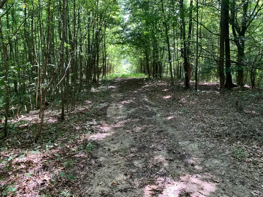 MASSEYVILLE MCNAIRY RD, Bethel Springs, TN 38315 - Image #2