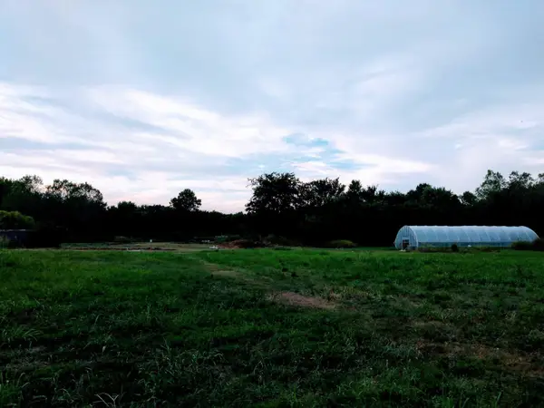 1751 WARFORD ST, Memphis, TN 38108