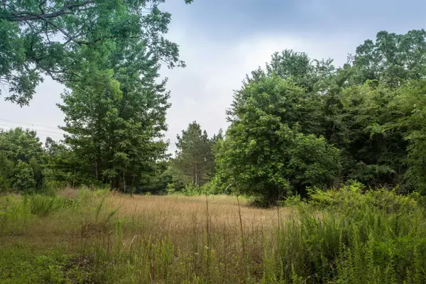 115 BAUDY JAMES RD, Cedar Grove, TN 38321