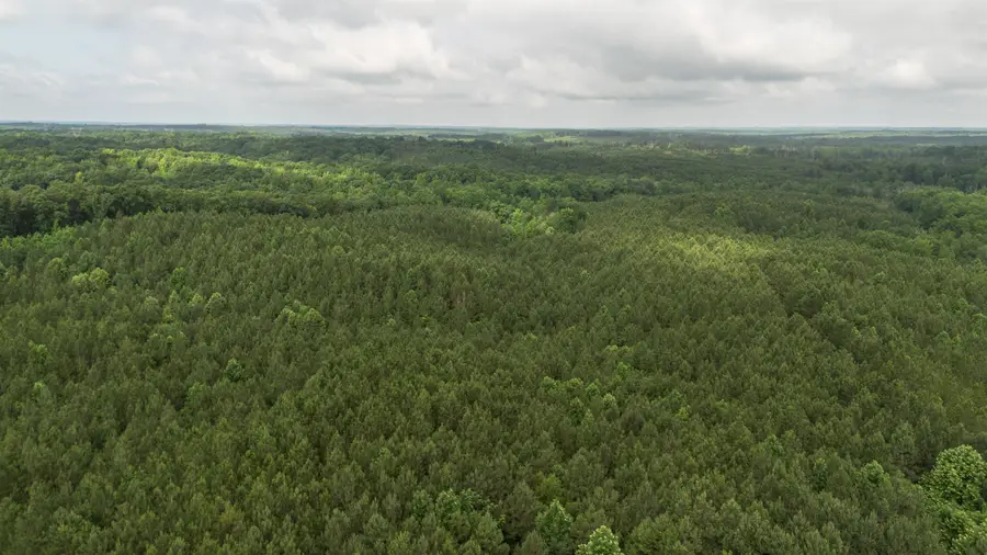 115 BAUDY JAMES RD, Cedar Grove, TN 38321 - Image #2