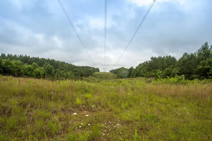 115 BAUDY JAMES RD, Cedar Grove, TN 38321 - Image #3