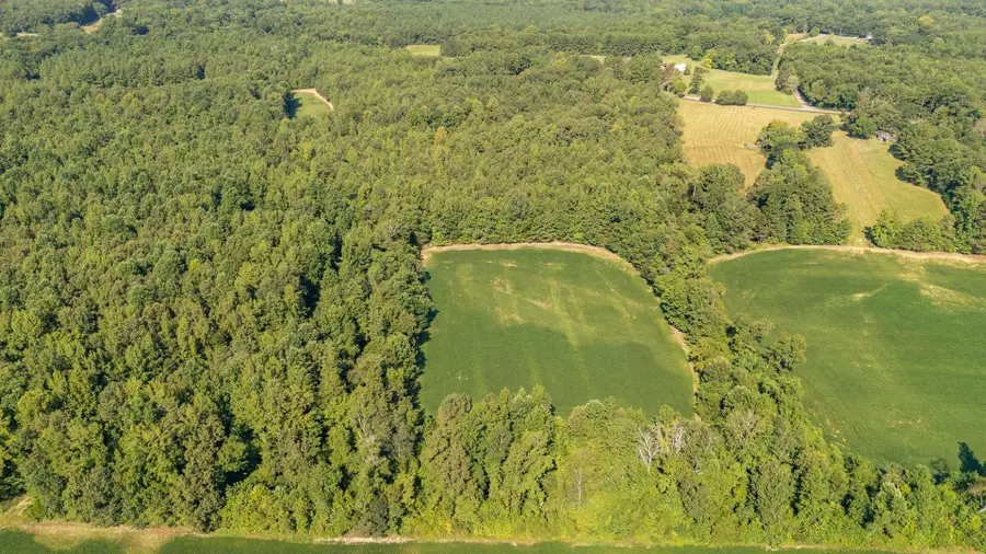 2395 POCAHONTAS RD, Pocahontas, TN 38061-5537 - Image #2