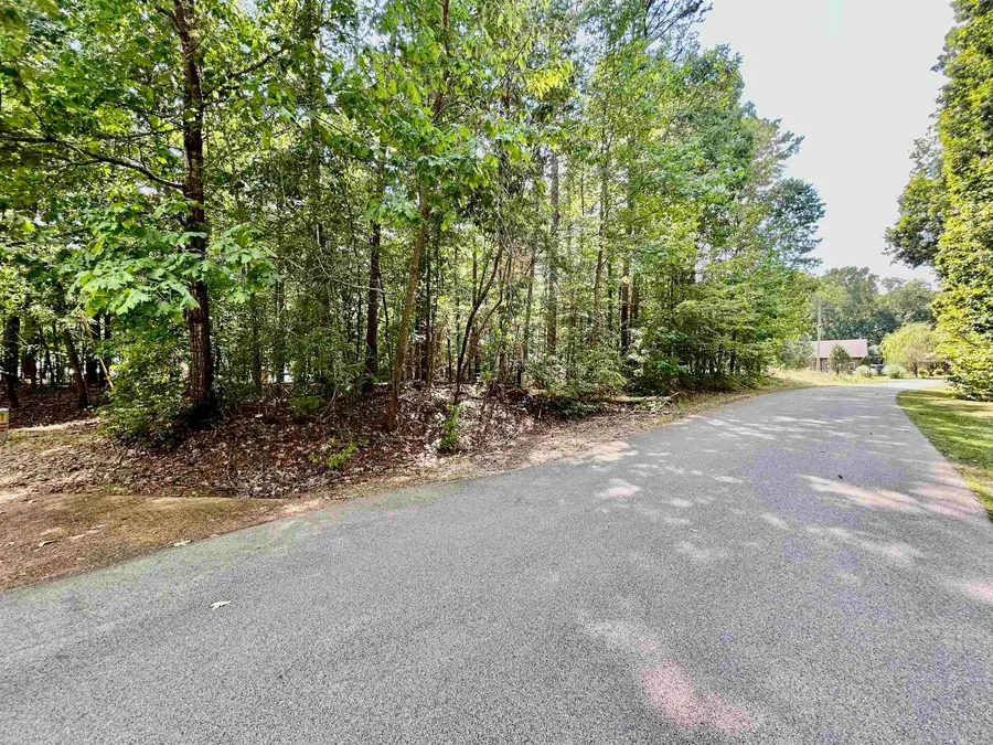 38 CR 329 RD, Counce, TN 38326 - Image #2