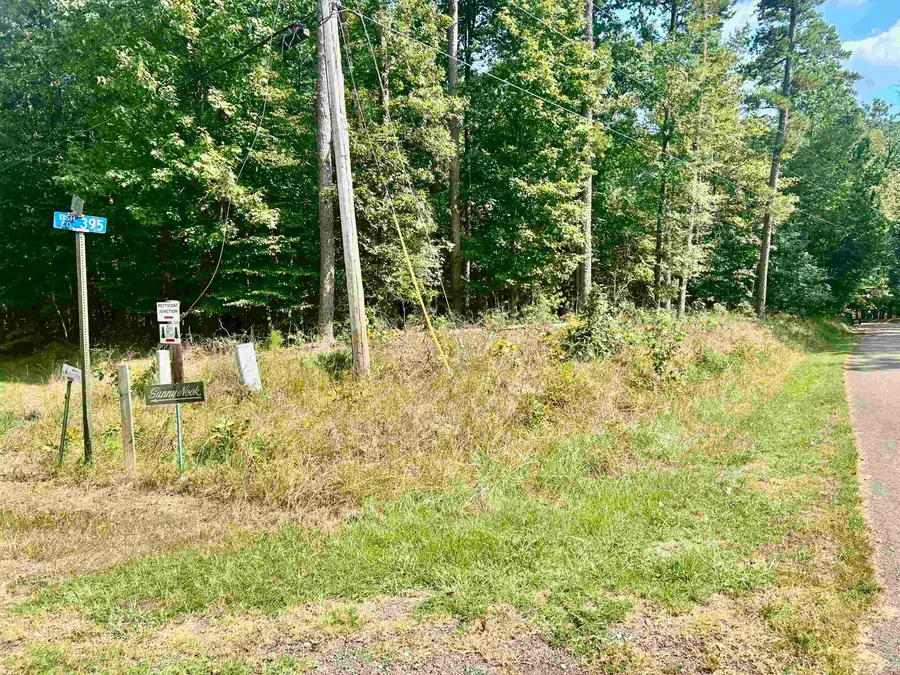 38 CR 329 RD, Counce, TN 38326 - Image #3