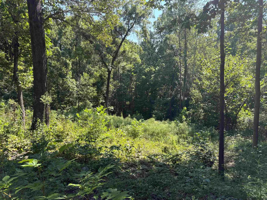 0 N WATKINS RD, Millington, TN 38053 - Image #2