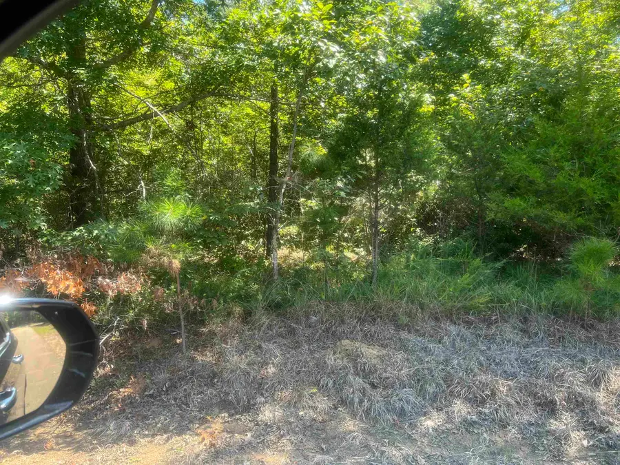 BIG SPRINGS RD, Medon, TN 38356 - Image #2