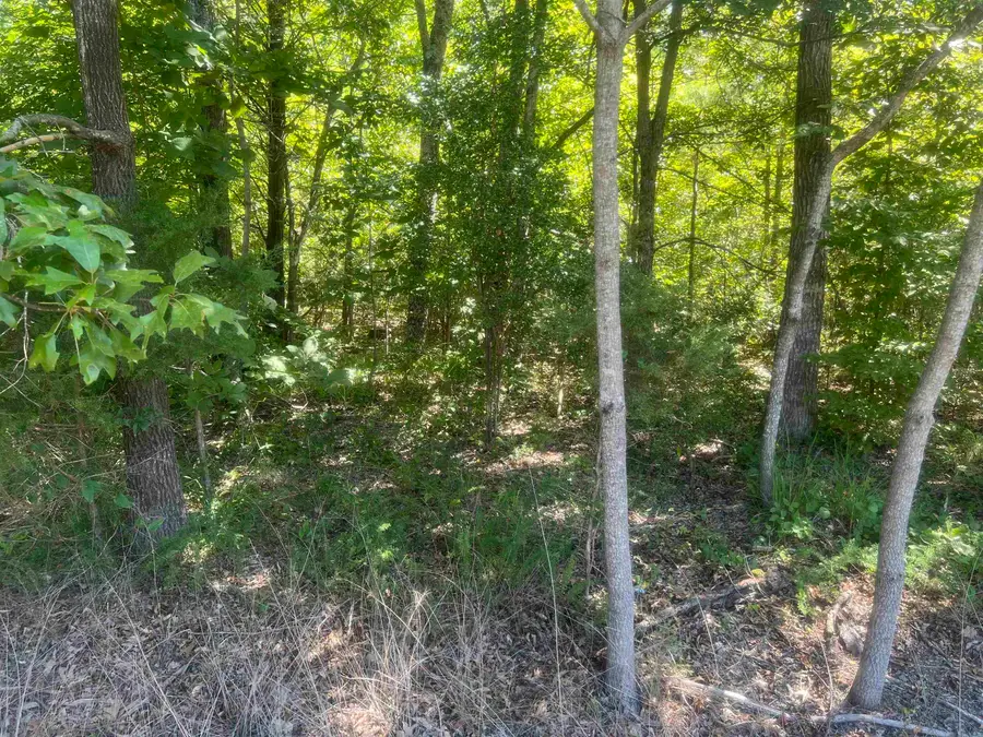 BIG SPRINGS RD, Medon, TN 38356 - Image #3