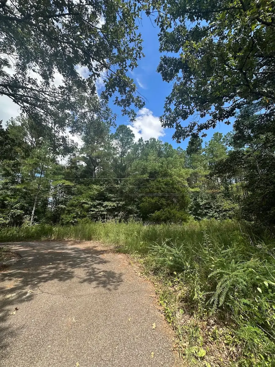 0 EWELL RD, Moscow, TN 38057 - Image #2