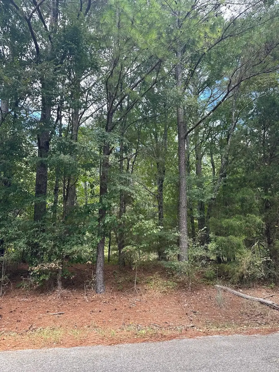 0 EWELL RD, Moscow, TN 38057 - Image #3