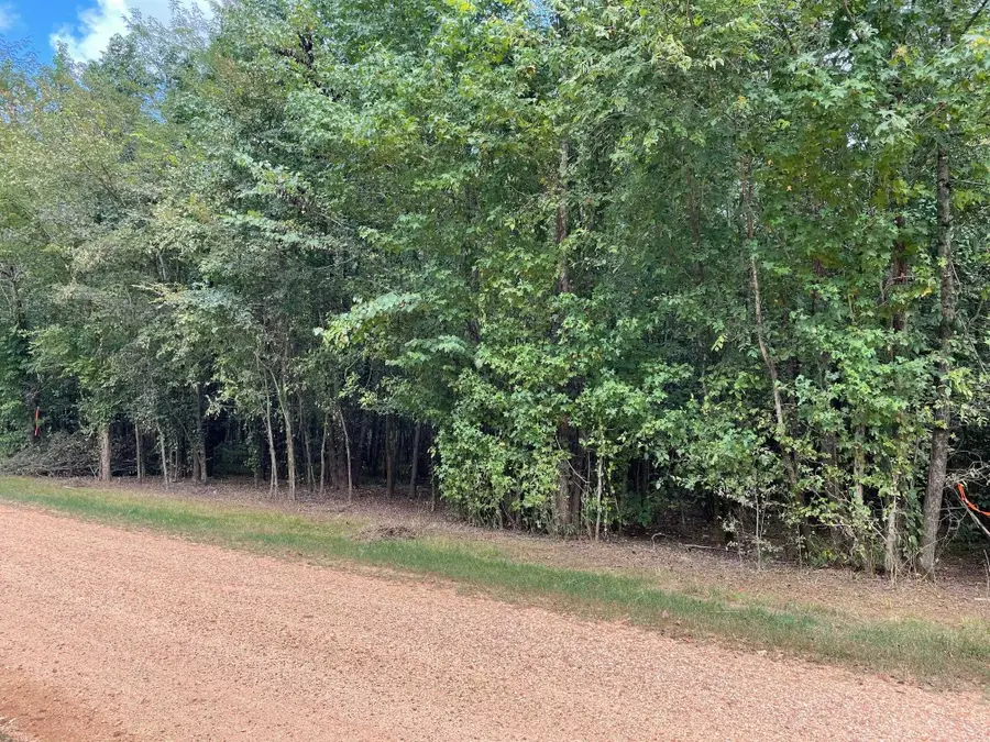 94 TOWBOAT LN, Savannah, TN 38372 - Image #2