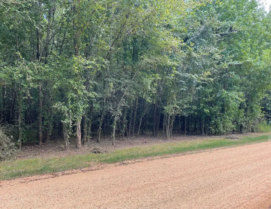 94 TOWBOAT LN, Savannah, TN 38372 - Image #3