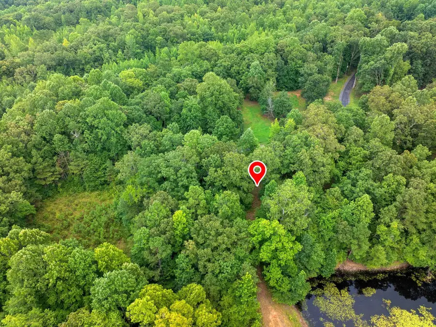 213 JASON HOLLOW RD, Cedar Grove, TN 38321 - Image #3