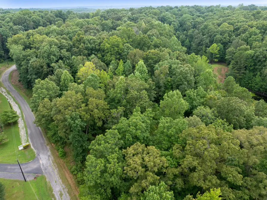 163 JASON HOLLOW RD, Cedar Grove, TN 38321 - #2