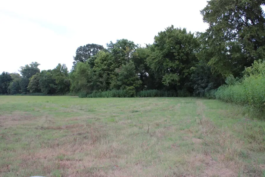 480 CHISHOLM LAKE RD, Ripley, TN 38063 - Image #3