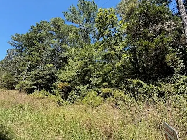 TRACK 2 KENDRICK/GIN RD, Michie, TN 38357 - Image #3