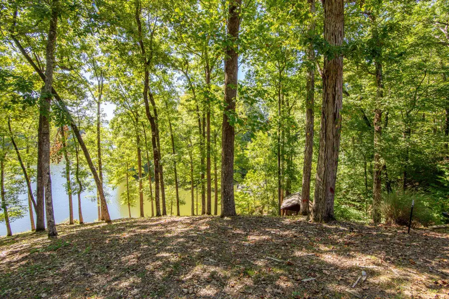 120 PIER PT, Savannah, TN 38372 - Image #2