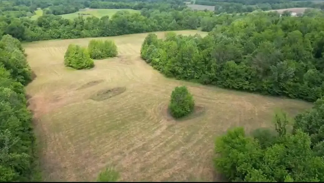 357 CHISHOLM LAKE RD, Ripley, TN 38063 - Image #1