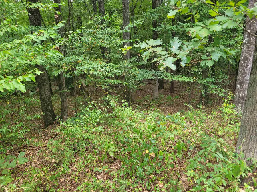 12 HAWTHORNE LN, Savannah, TN 38372 - Image #3