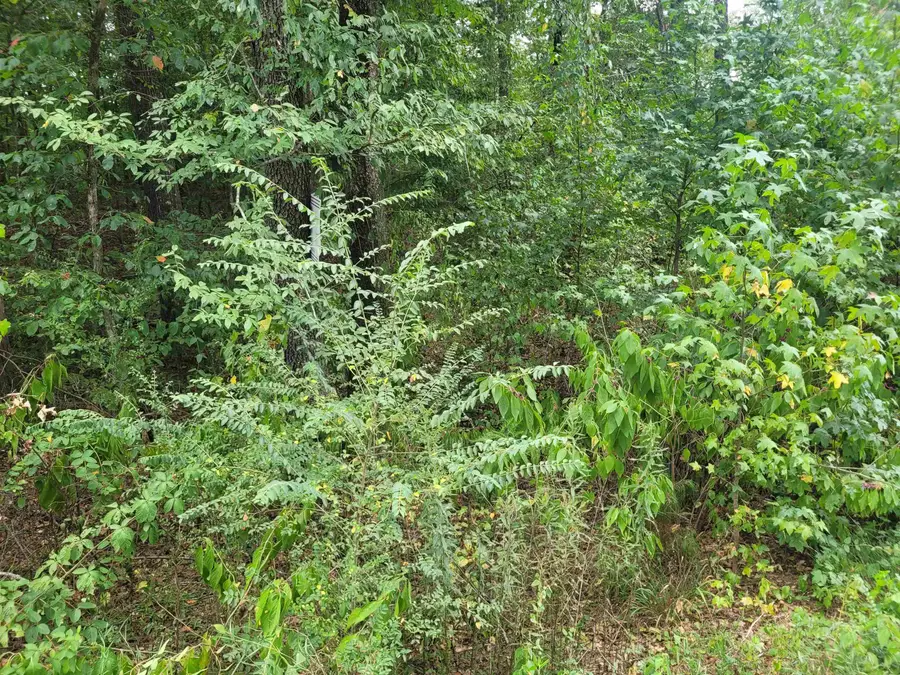 23 HAWTHORNE LN, Savannah, TN 38372 - Image #2