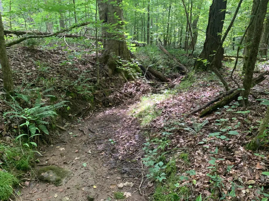 CAVE HOLLOW LN, Savannah, TN 38372 - Image #3