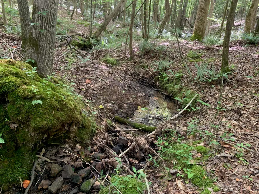 CAVE HOLLOW LN, Savannah, TN 38372 - Image #2