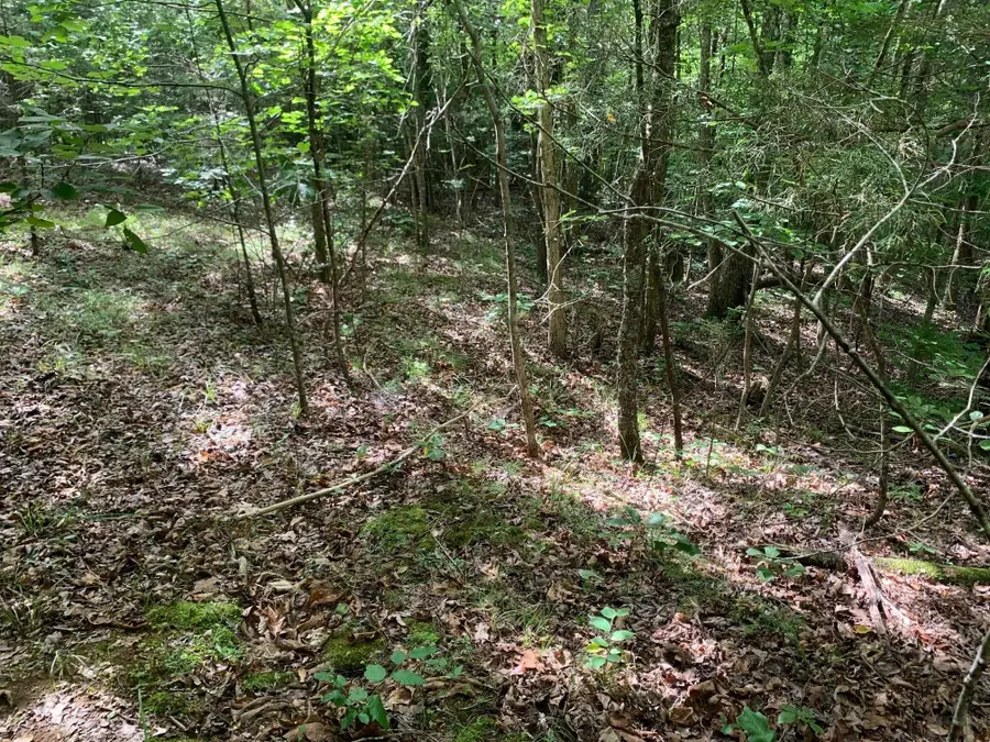 CAVE HOLLOW LN, Savannah, TN 38372 - Image #3