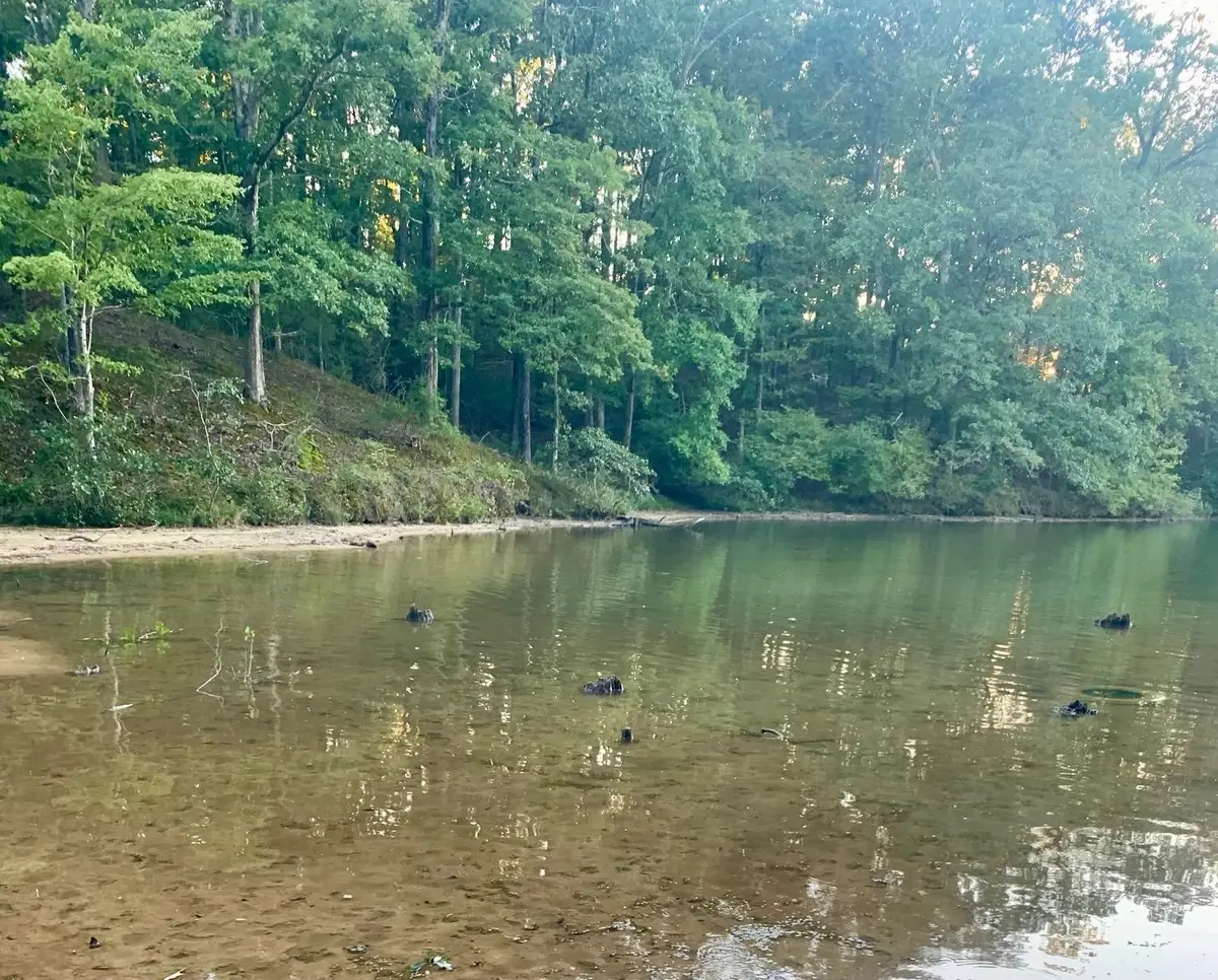 29 LAKEWOOD DR, Saulsbury, TN 38067 - #1