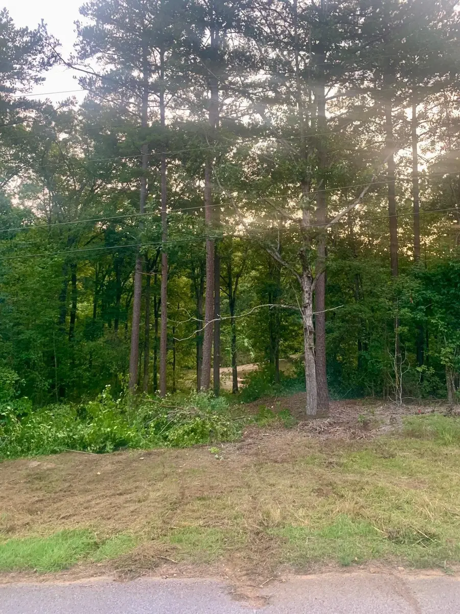 29 LAKEWOOD DR, Saulsbury, TN 38067 - #2