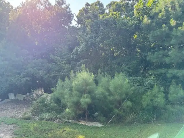 NEW UNION LOOP, Toone, TN 38381 - Image #3