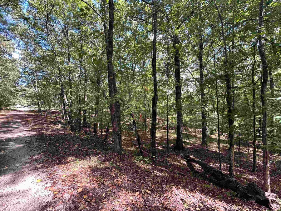 35 & 36 OLD ROGER DR #WR35, Middleton, TN 38052 - Image #2