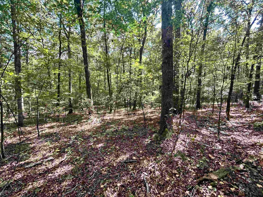 35 & 36 OLD ROGER DR #WR35, Middleton, TN 38052 - Image #3