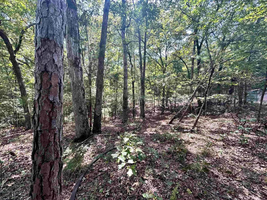 19 DOGWOOD DR #WR19, Middleton, TN 38052 - Image #3