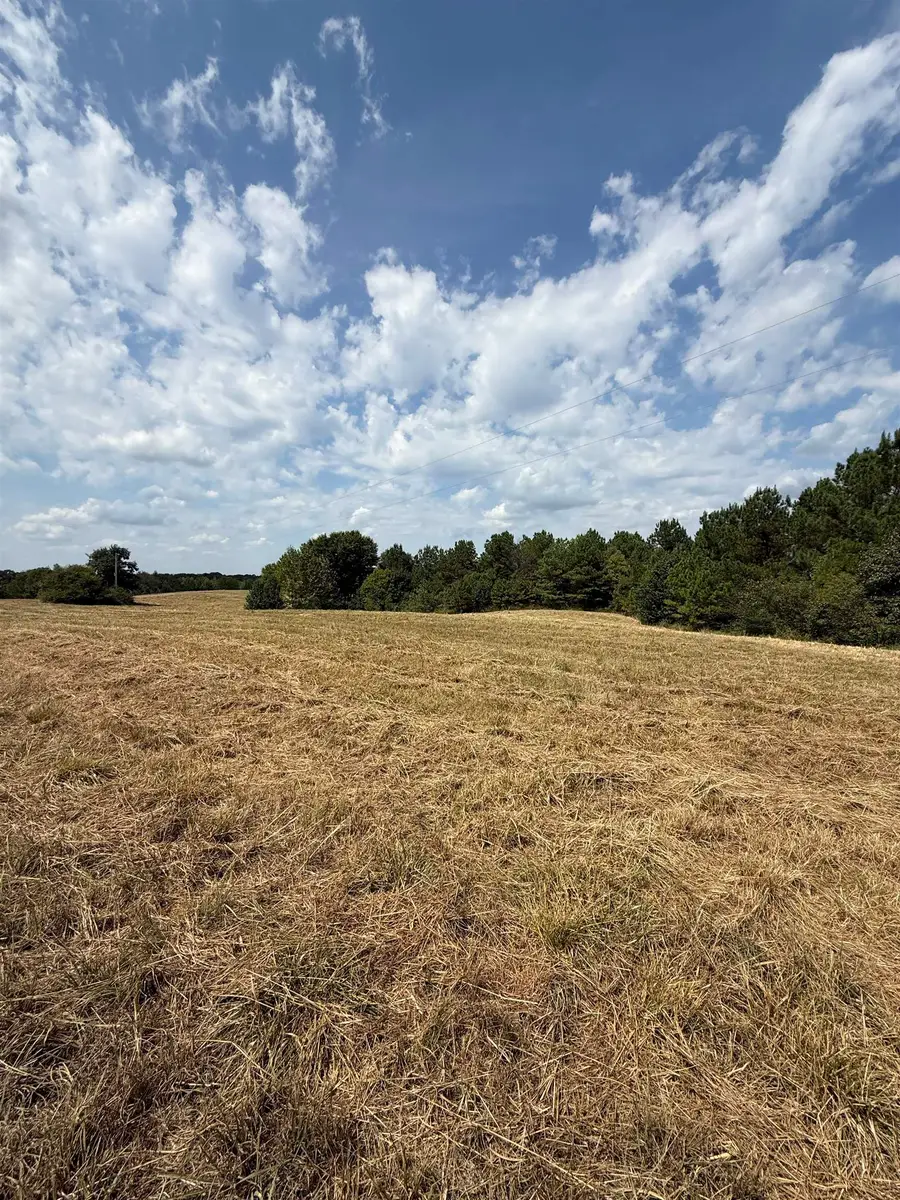 225 TEAGUE RD, Toone, TN 38381-7935 - Image #3