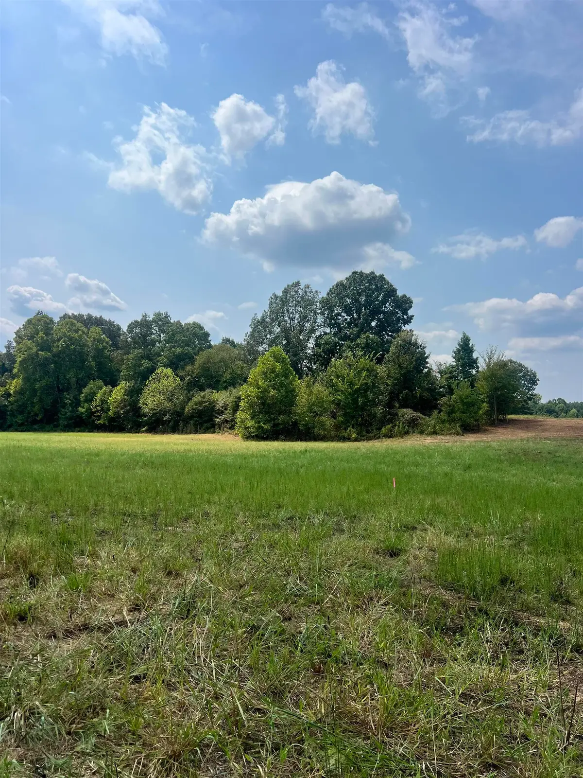 TRACT 4 ANDREW RD, Mason, TN 38049 - Image #1