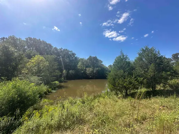 0 MIDDLEBURG RD, Decaturville, TN 38329