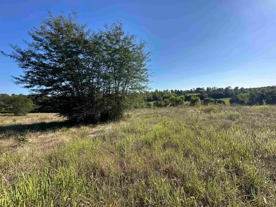 0 MIDDLEBURG RD, Decaturville, TN 38329 - Image #2