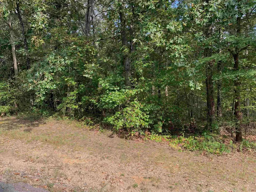 65 WOODRUN DR #WR65, Middleton, TN 38052 - Image #3