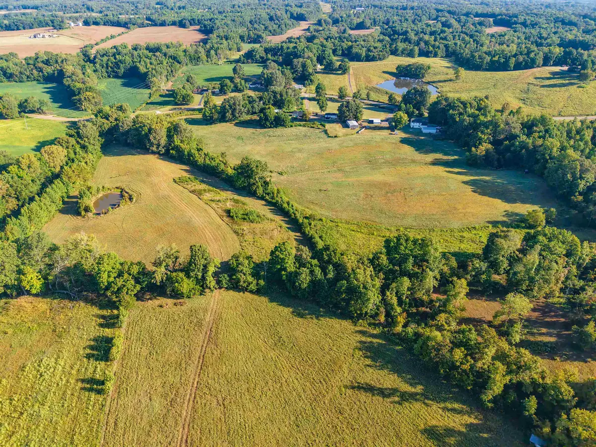 000 BLUEBIRD HILL RD, Ripley, TN 38063 - Image #1