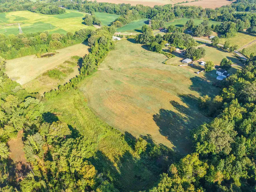 000 BLUEBIRD HILL RD, Ripley, TN 38063 - Image #3