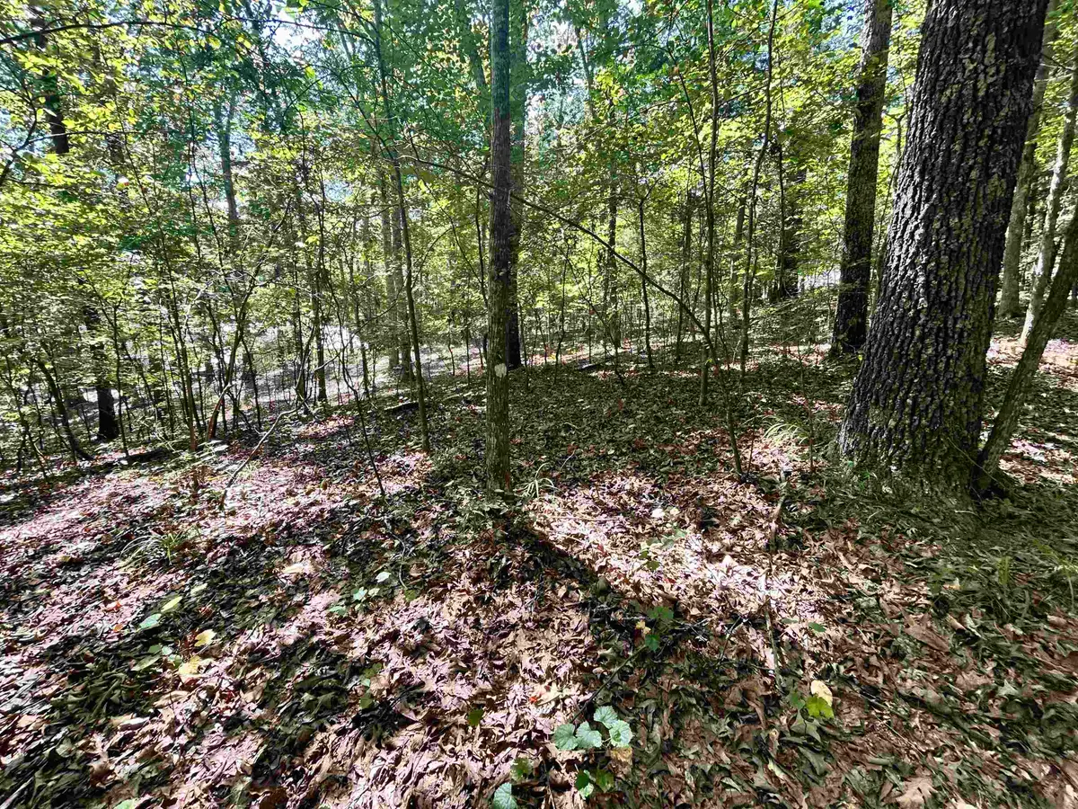 65 WOODRUN DR #WR65, Middleton, TN 38052 - #1