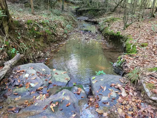 00 64 HWY, Olivehill, TN 38475