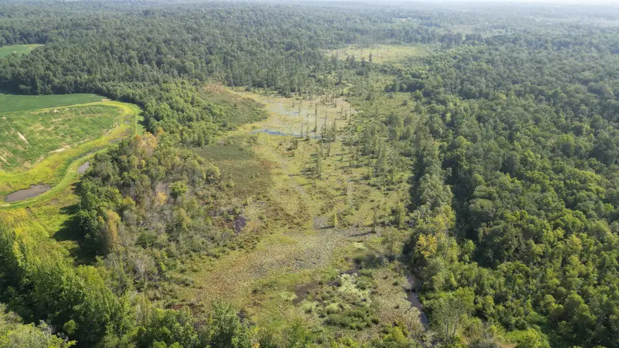 000 TEAGUE RD, Medon, TN 38356 - Image #2