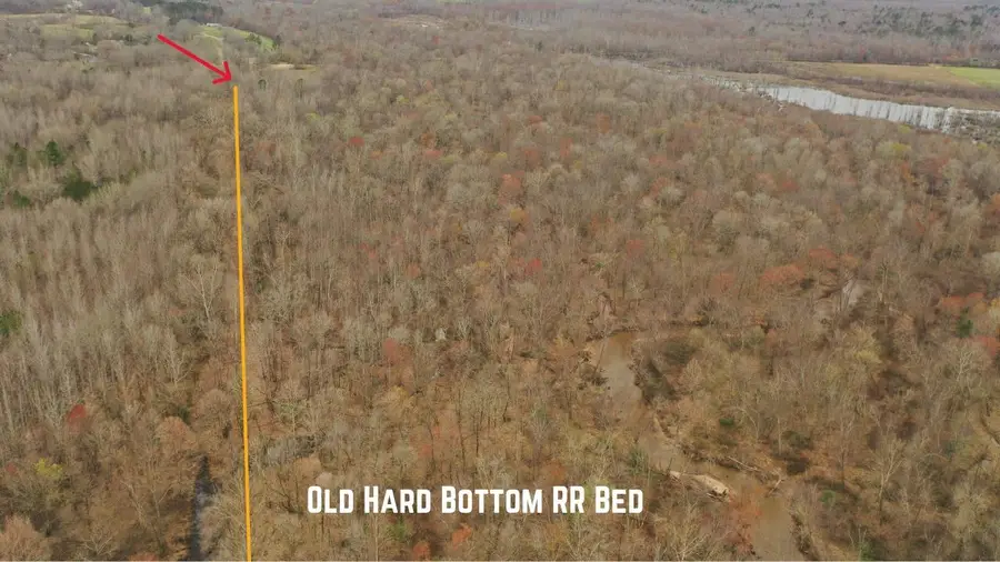 000 TEAGUE RD, Medon, TN 38356 - Image #3