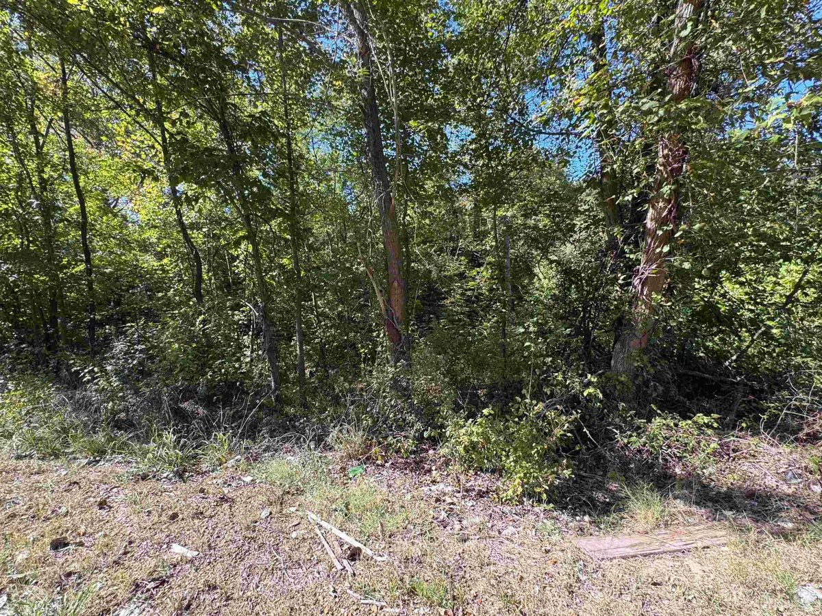 0 HWY 51 HWY S, Munford, TN 38058 - Image #1