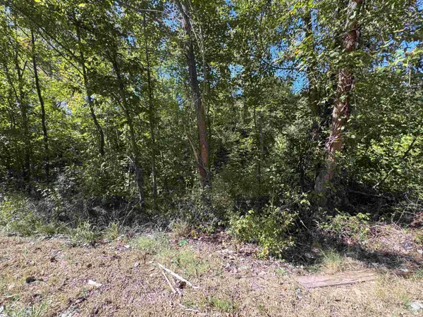 0 HWY 51 HWY S, Munford, TN 38058