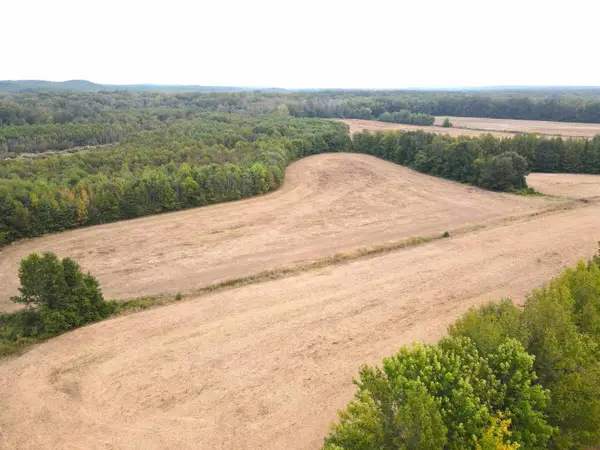 BUTLER CHAPEL RD, Ramer, TN 38367