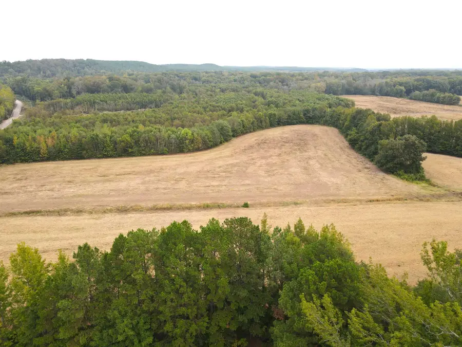 BUTLER CHAPEL RD, Ramer, TN 38367 - Image #2