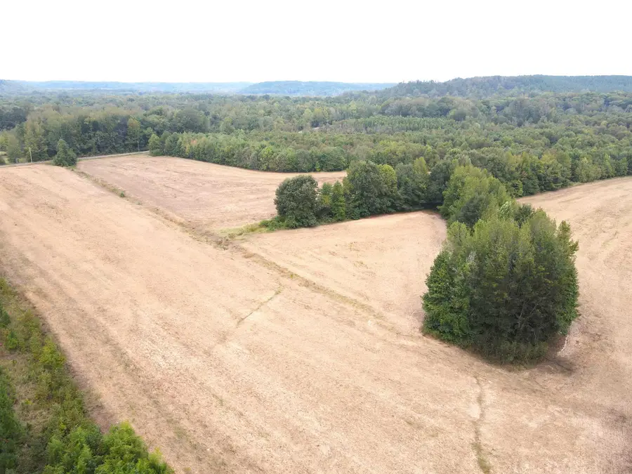 BUTLER CHAPEL RD, Ramer, TN 38367 - Image #3