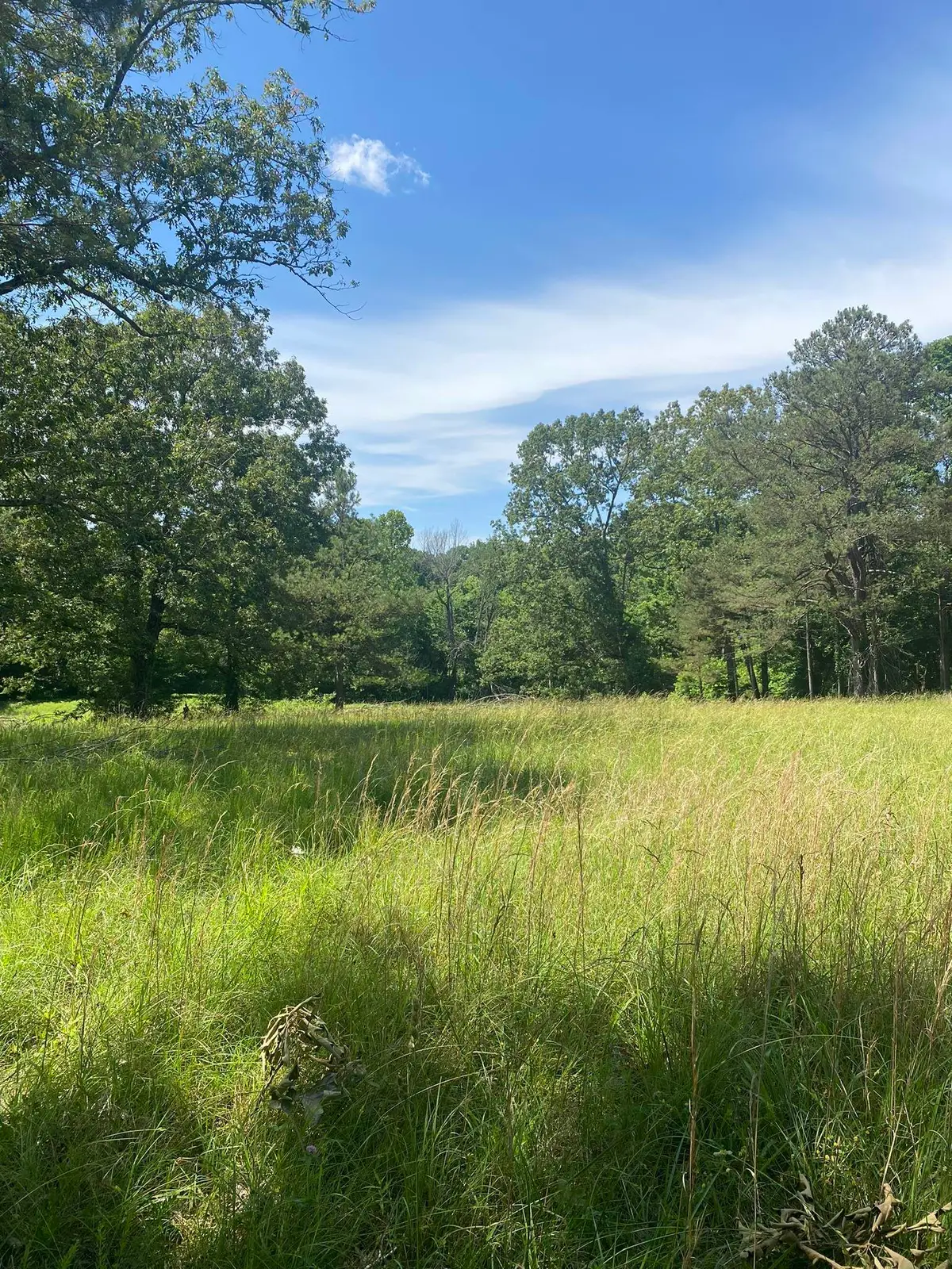 000 TODD LN, Bolivar, TN 38008 - Image #1